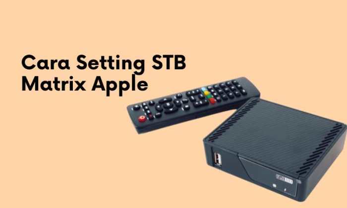 Cara setting stb matrix apple