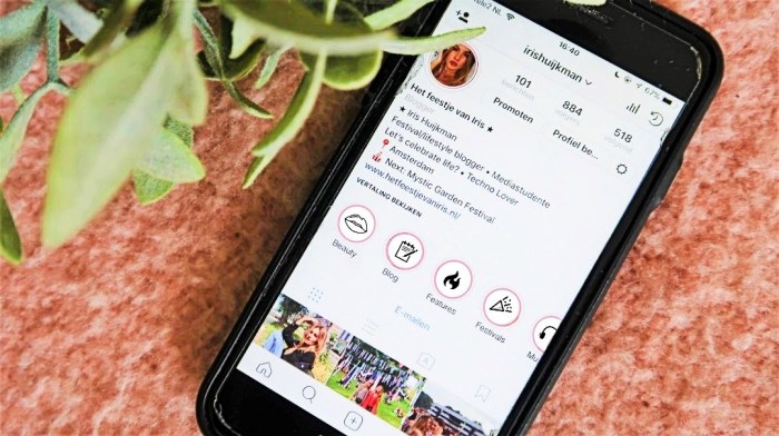 Cara melihat pemirsa sorotan ig