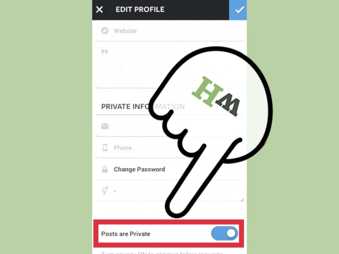 Cara membuka privasi ig