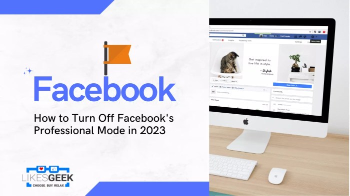 Cara menonaktifkan fb profesional