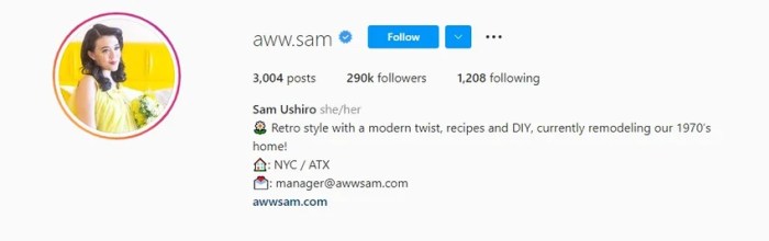 Cara membuat bio ig berwarna