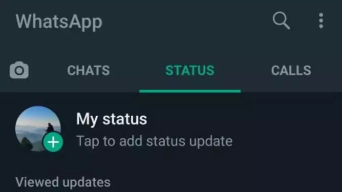 Cara unmute status wa