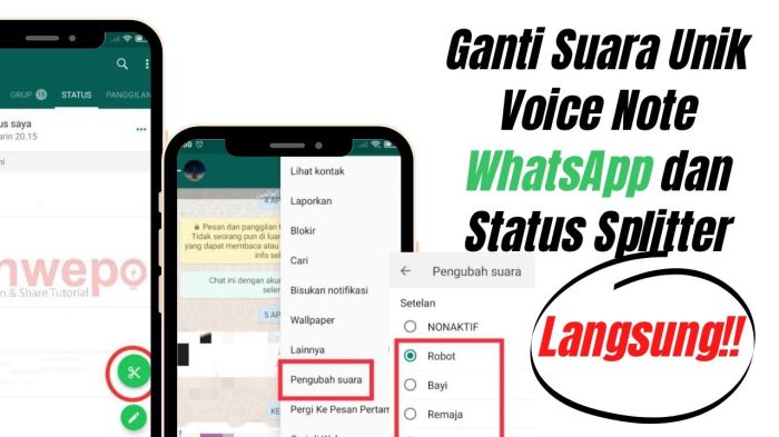 Cara jadikan vn status wa