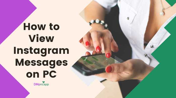 Cara melihat versi instagram
