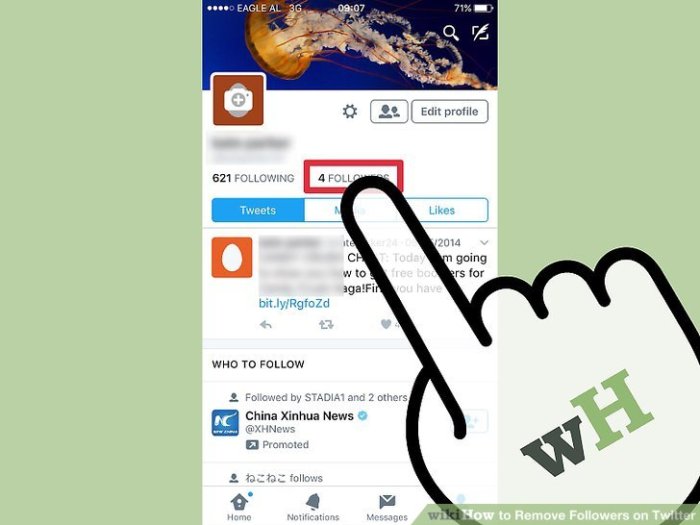 Cara melihat followers yang dihapus