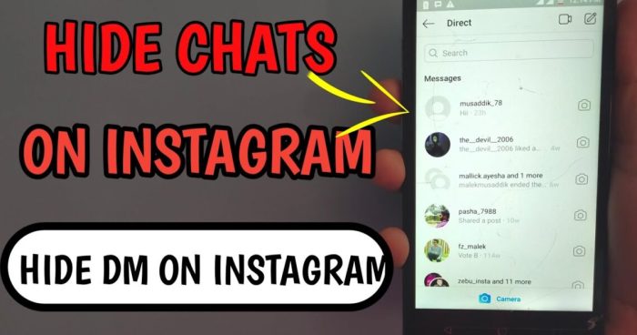 Chats chat