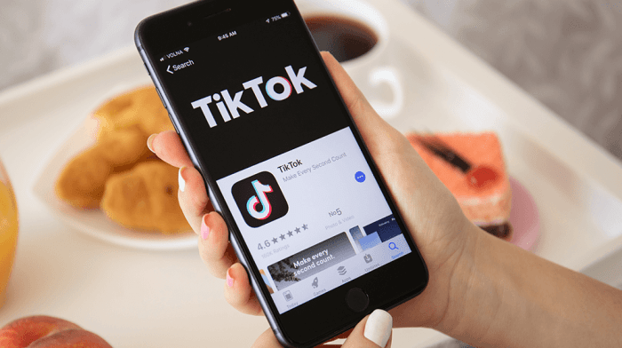 Tiktok bios lnk optimize