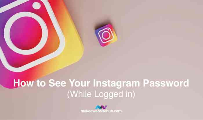 Cara melihat sandi instagram