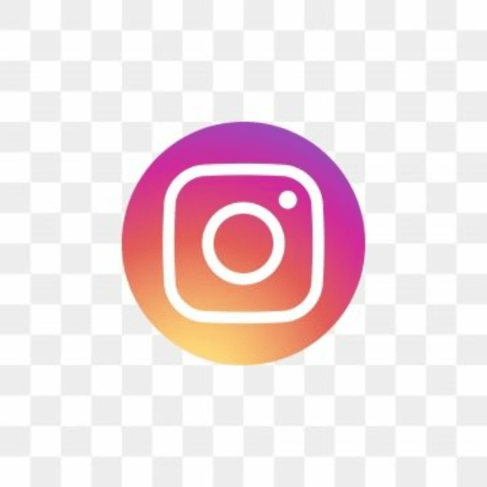 Ig logoinstagram
