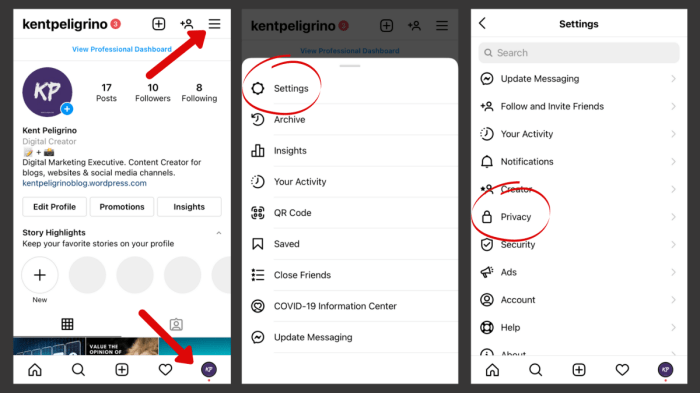 Cara mengaktifkan online di ig